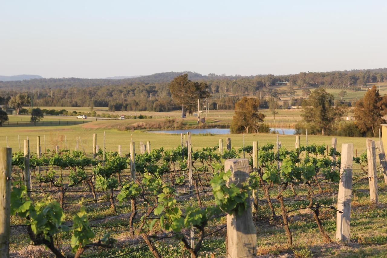 Blueberry Hill Vineyard Stay Rothbury Exteriör bild